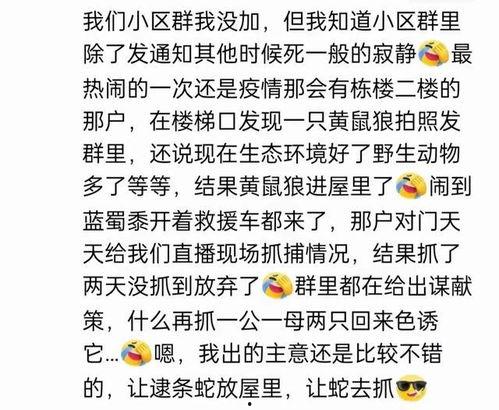 娱乐吃瓜群名叫什么名字,揭秘“娱乐吃瓜群”背后的热点事件与趣味瞬间